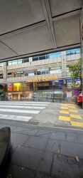 Lucky Plaza (D9), Shop House #543654761